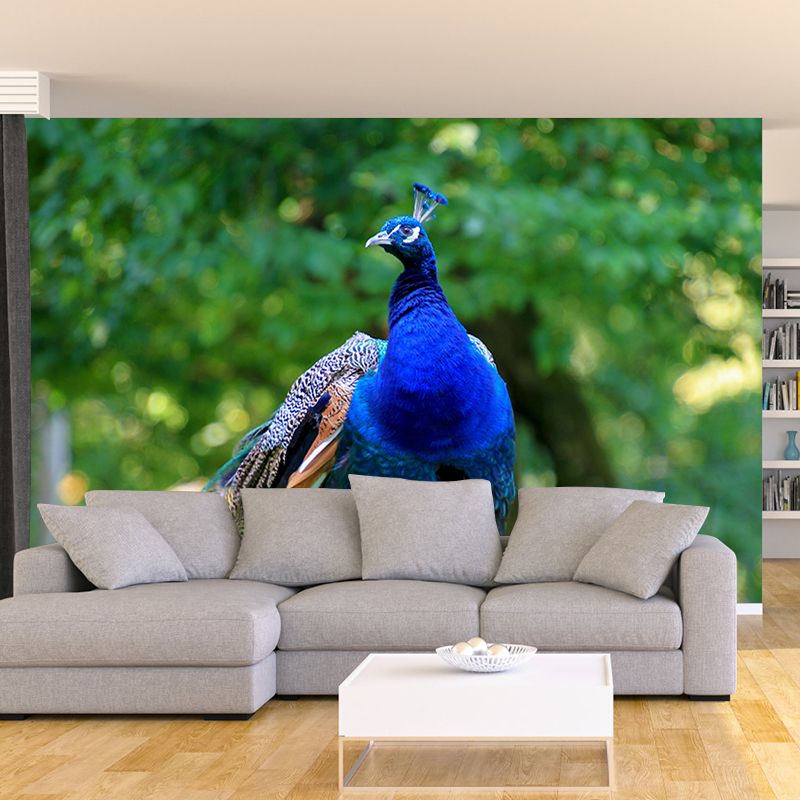 Blue Peacock Mural Wallpaper for Living Room Moisture Resistant, Custom Size