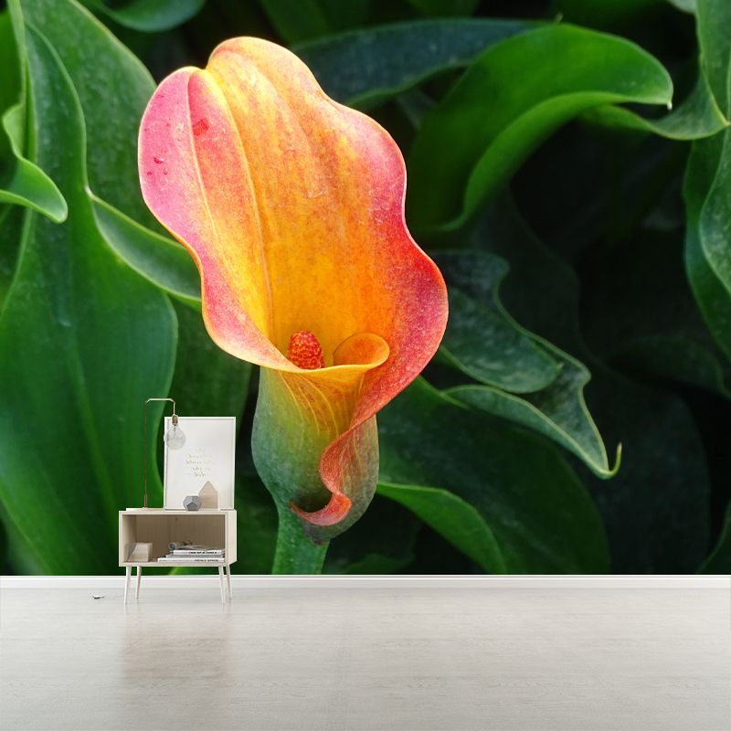 Horizontal Photography Calla Wall Mural for Living Room Girls Women Bedroom