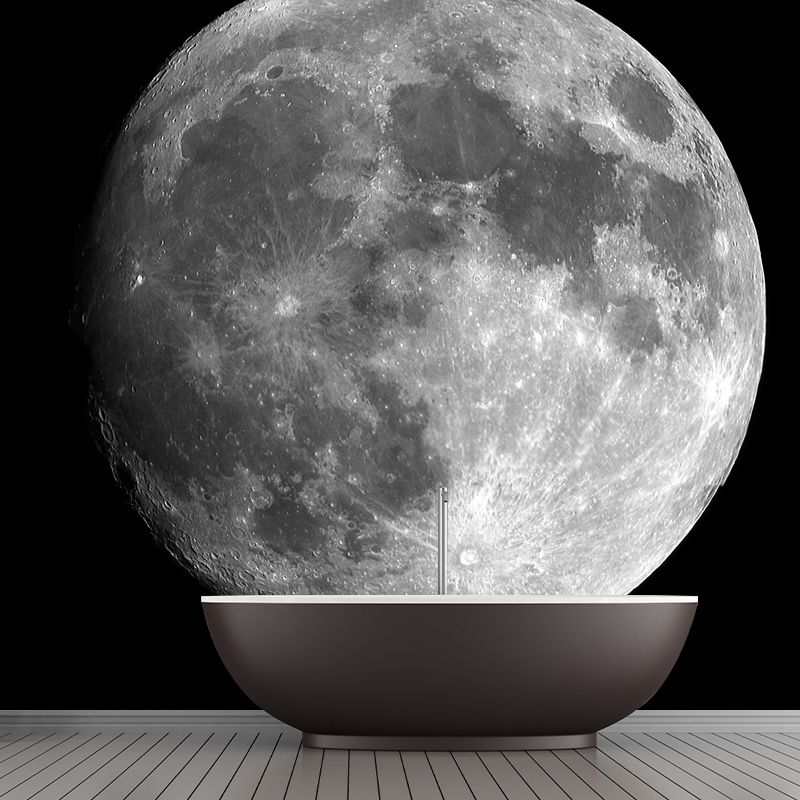 Planet Mercury Wall Paper Mural Black-Grey-White Contemporary Wall Decor for Home