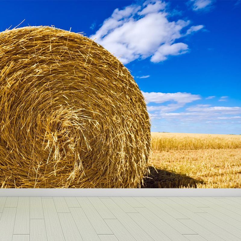 Moisture Resistant Hay Roll Mural Personalized Modern Wall Covering for House Interior