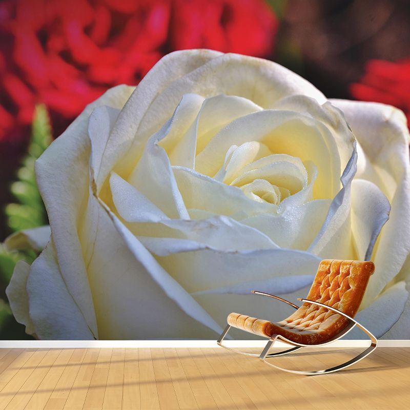 Rose Mural Wall Covering Close-Up Photography Decorative Mildew Resistant Wallpaper