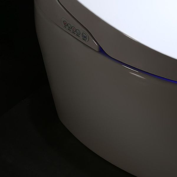 Modern 1-Piece Bidet Toilet Floor Mounted Toilet Bowl for Washroom