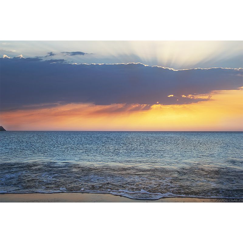 Blue and White Wall Murals Water Resistant Wall Decor for Sitting Room Bedroom