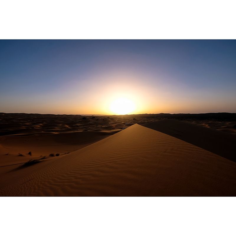 Desert Landscape Photography Mildew Resistant Wallpaper Sleeping Room Wall Mural