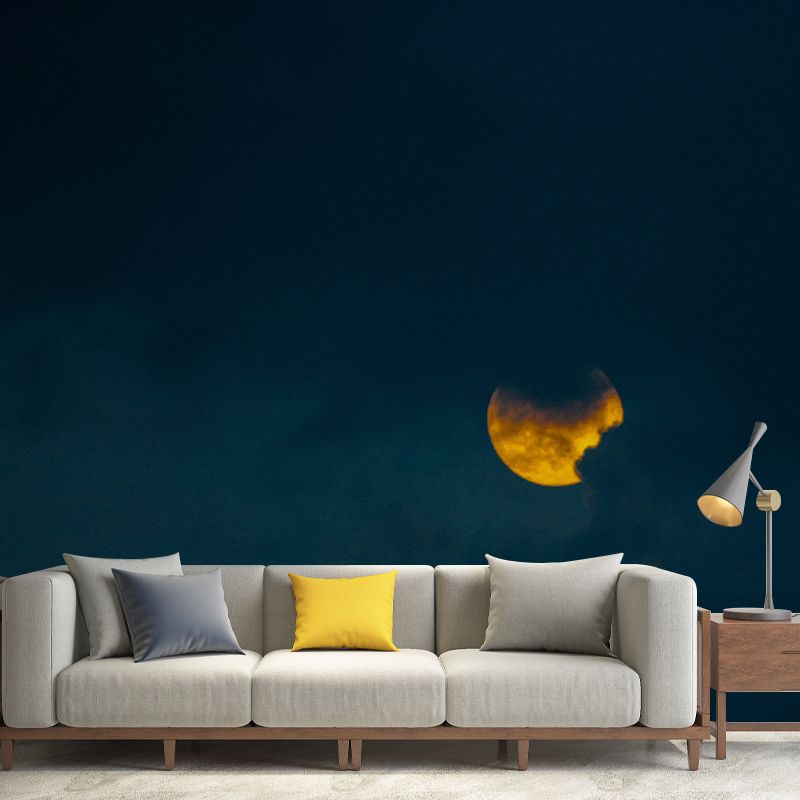 Environmental Photography Mural Wallpaper Dreamy Sky Indoor Wall Mural