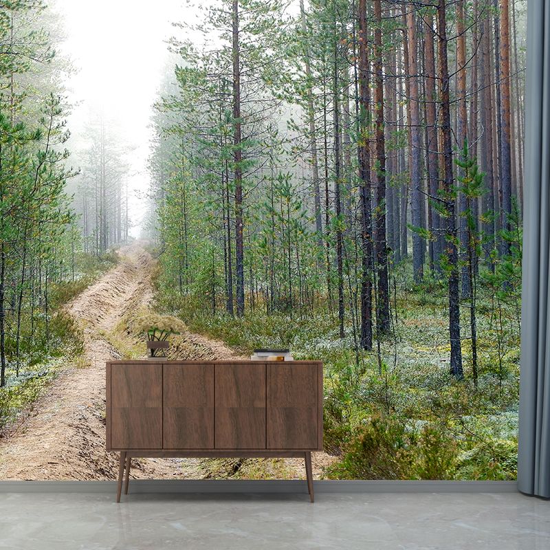 Forest Photo Wall Mural for Living Room Bedroom, Removable, Customized Size