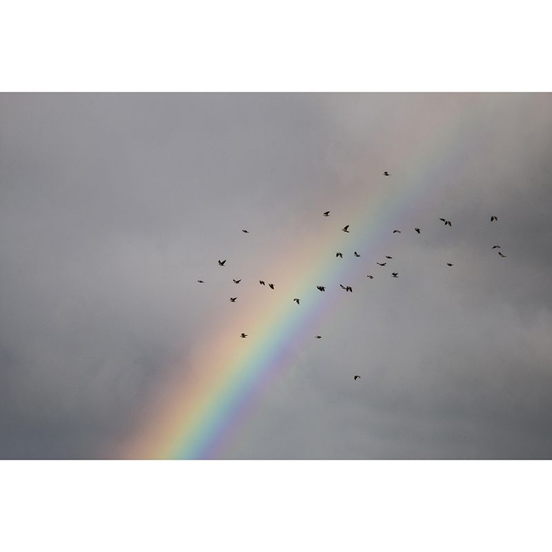 Vivid Mildew Resistant Mural Wallpaper Sky Landscapes Pattern for Decoration