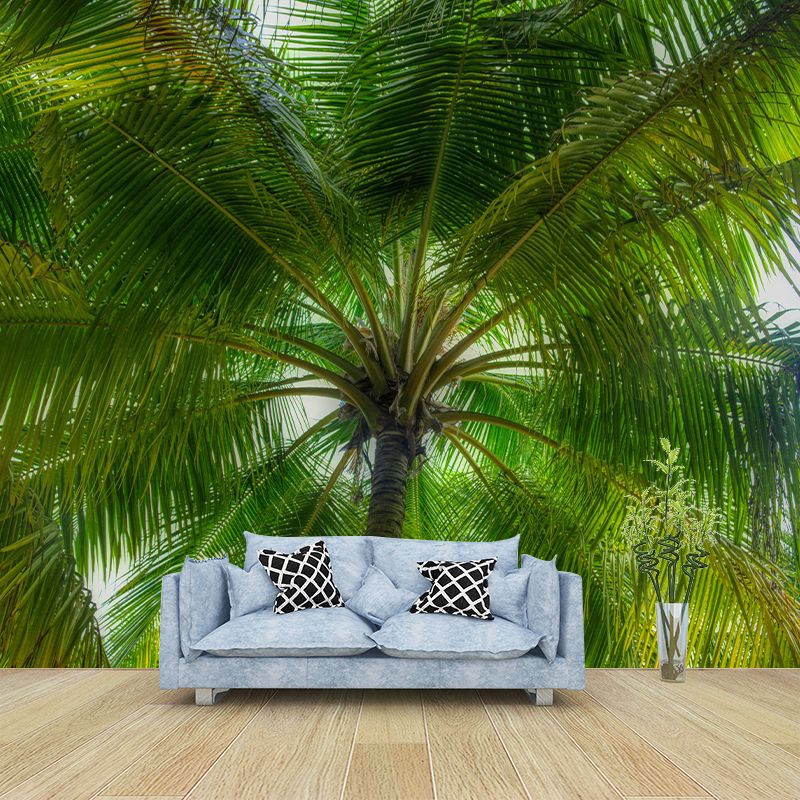Horizontal Photography Palm Tree Mural Environment Friendly Wallpaper for Home