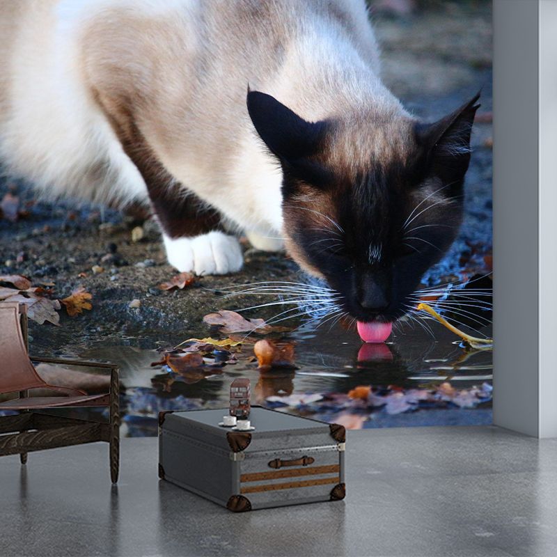 Customized Siamese Cat Wall Mural Horizontal Photography for Sleeping Room Decoration