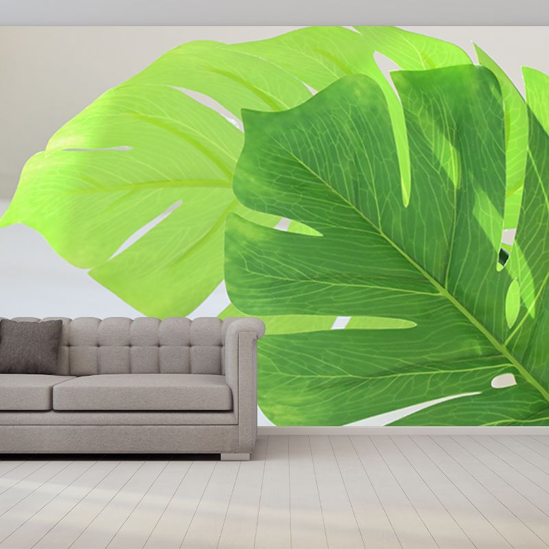 Monstera Mural Wallpaper for Reading Room Stain Resistant, Personalized Size