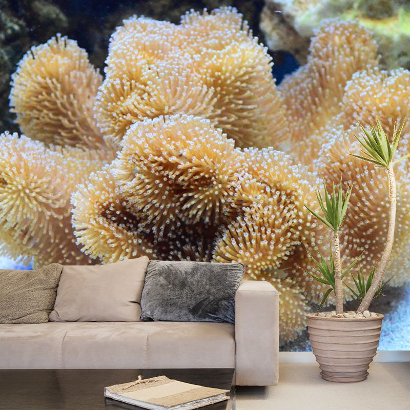 Seabed Nature Scenery Mural Wallpaper for Sleeping Room Waterproofing, Custom Made