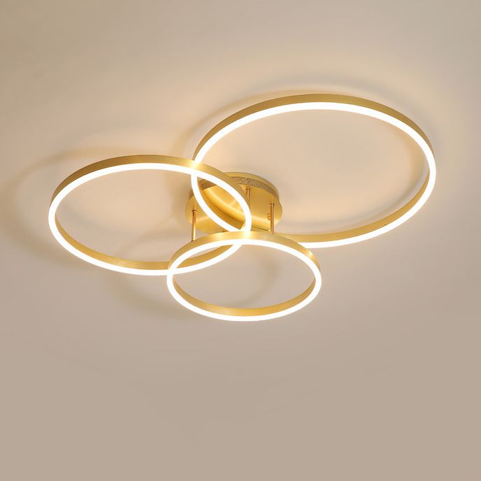 Metal Circle Ceiling Flush Mount Light Modern Style LED Gold Ceiling Light Fixture