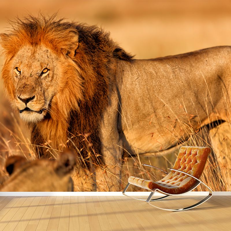 Lion of African Grassland Mural Modern Non-Woven Wall Covering in Brown for Home