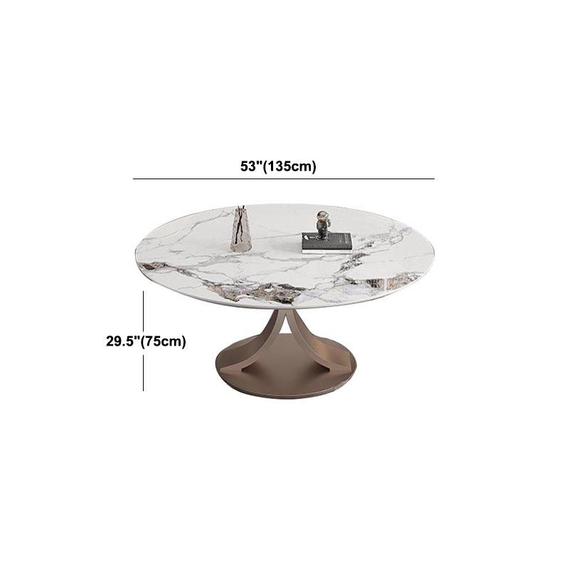 Round Sintered Stone Dining Table Modern Furniture with Pedestal Steel Base
