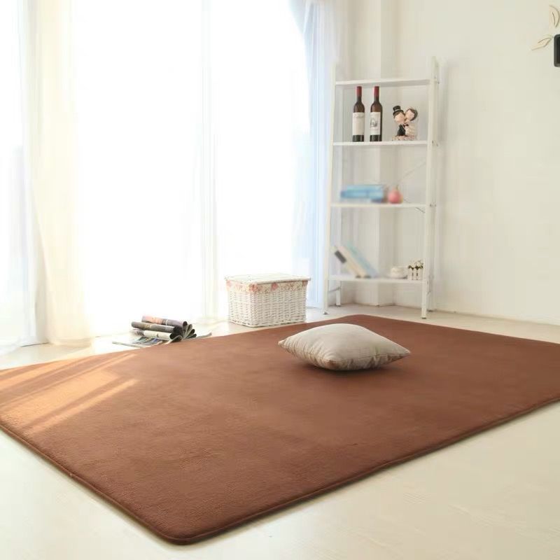 Solid Color Living Room Rug Carpet Polyester Washable Area Rug