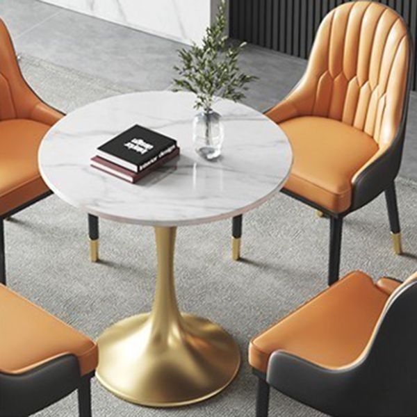 Traditional Luxury Dining Table Sintered Stone Tulip Table for Dining Room