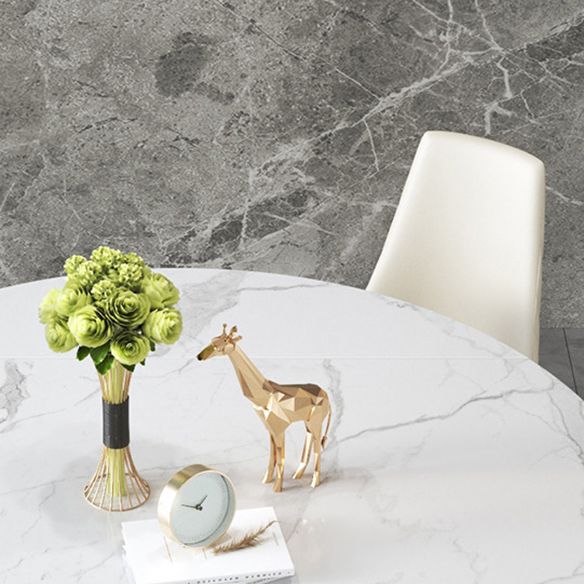 Modern Sintered Stone Dining Room Set with Round Top and Pedestal Base Dining Furniture