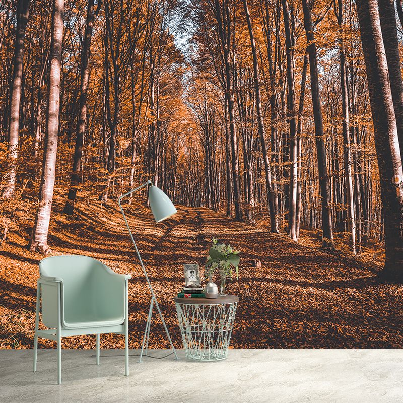 Contemporary Forest Landscape Mural Wall Covering for Bedroom, Waterproofing