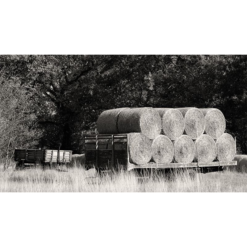 Customized Straw Bales Mural Environment Friendly Wallpaper for Living Room