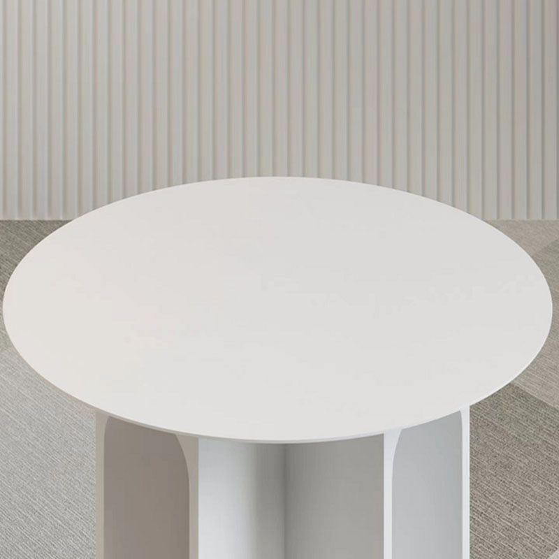 19.6"Tall Mid-Century Metal Round Top Side Table Pedestal End Table