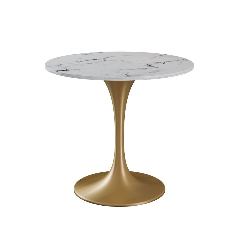 Glam 1/4/5 Pieces Dining Set Sintered Stone Dining Table Set for Dining Areas