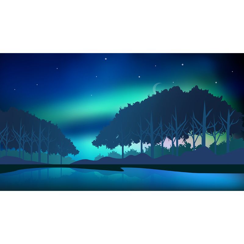 Aqua Aurora Wall Mural Forest Starry Sky Modern Waterproof Wall Decor for Living Room