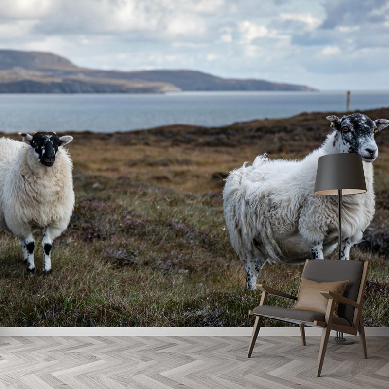 Sheep Animal Wallpaper Mural Contemporary Style Wall Art for Living Room