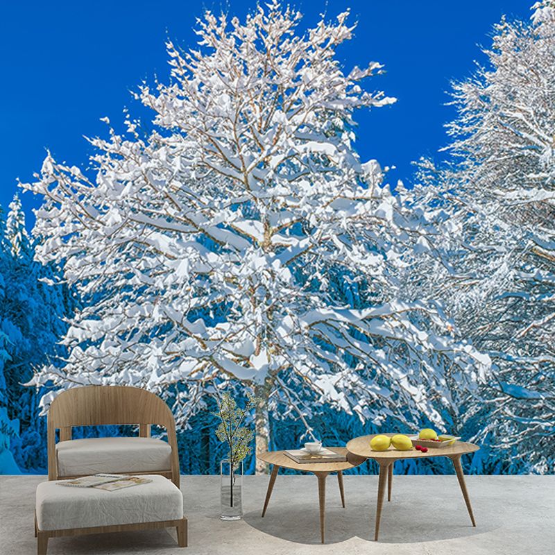 Modern Photography Mural Wallpaper Forest Scenery Indoor Wall Mural