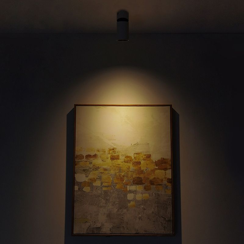 Mini plafonnier cylindrique monté en Surface moderne salon chambre réglable LED Downlight