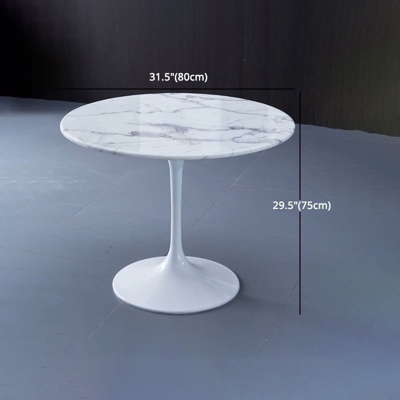 Modern 1/4/5 Pieces Sintered Stone Dining Set Dining Furniture Set /Separate Items