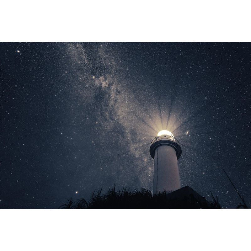 Photography Pattern Mildew Wall Mural Horizontalt Stary Sky for Living Room