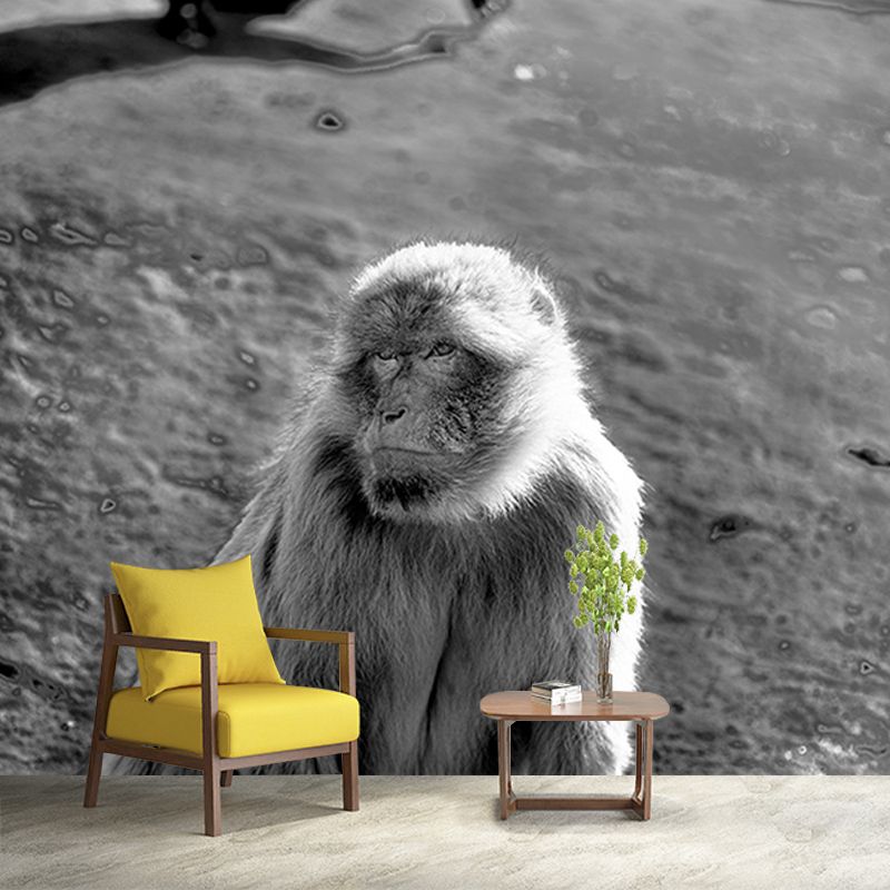 Monkey Animal Moisture-Resistant Mural Wallpaper Nordic Wall Art for Home Decoration