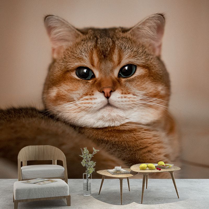 Photography Environment Friendly Mural Wallpaper Cute Cats Bedroom Wall Mural