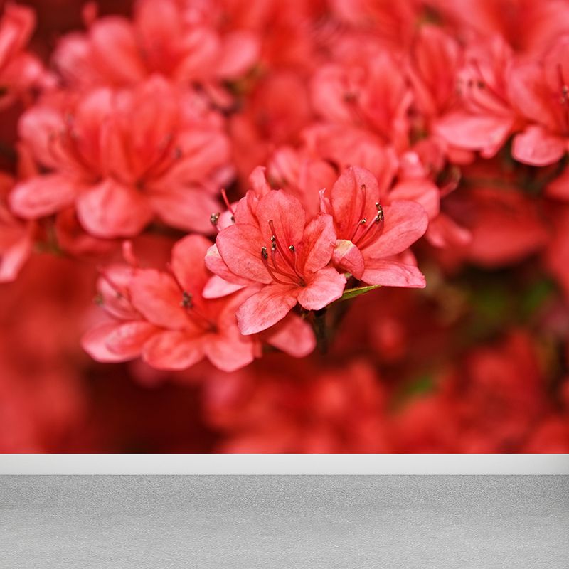 Contemporary Rhododendron Wall Mural Moisture Decorative Eco-friendly for Home Decor