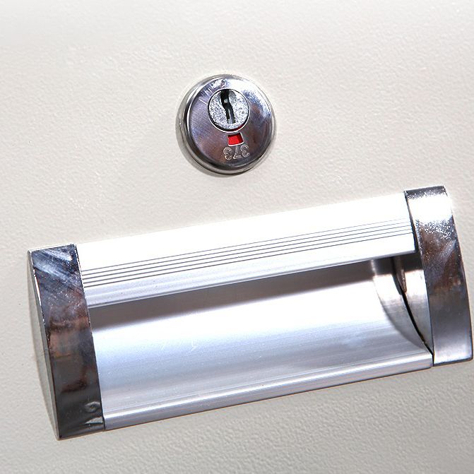 Contemporary Storage Cabinet Hinged Wardrobe Cabinet for Home