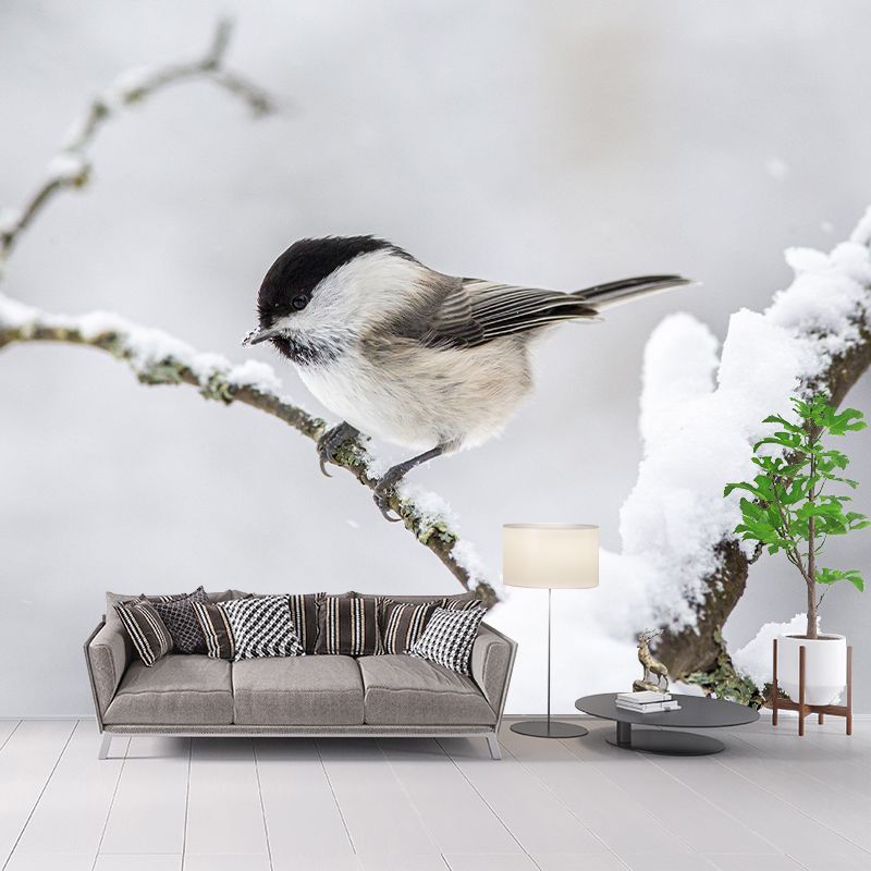 Photography Wild Animal Tit Mural Wallpaper Environment Friendly for Living Room