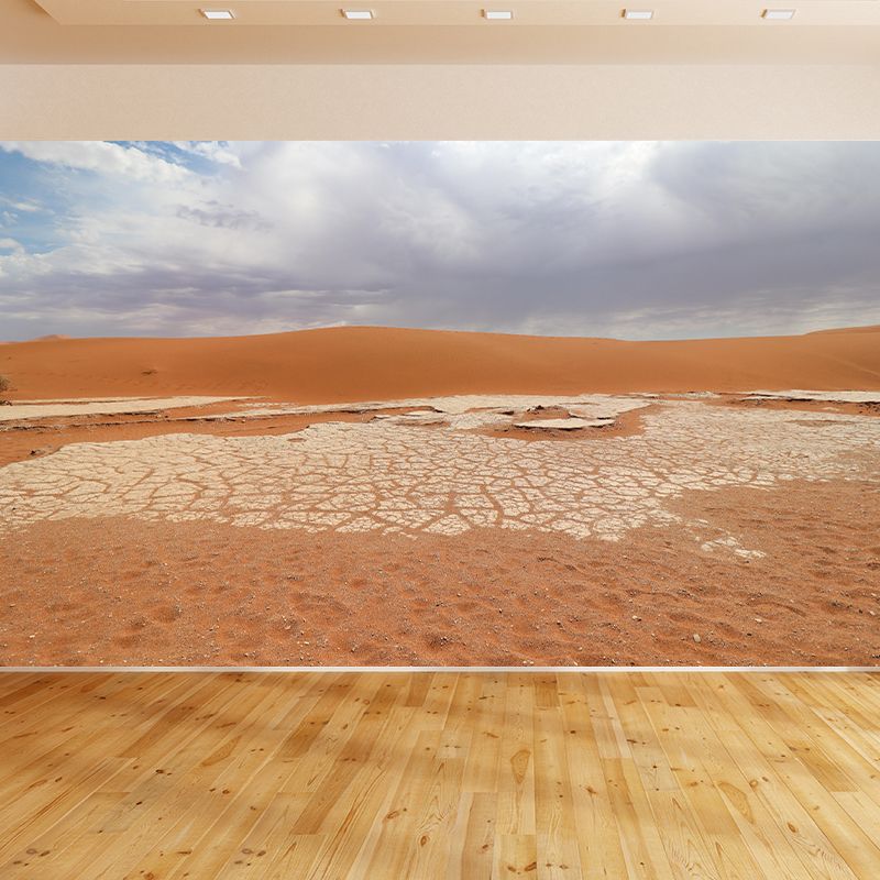 Contemporary Photography Style Desert Mural Wallpaper Mildew Resistant for Home