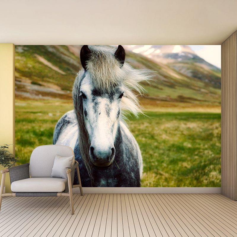 Rat Print Mildew Resistant Wall Mural Wild Animal Wallpaper Indoor Wall Mural