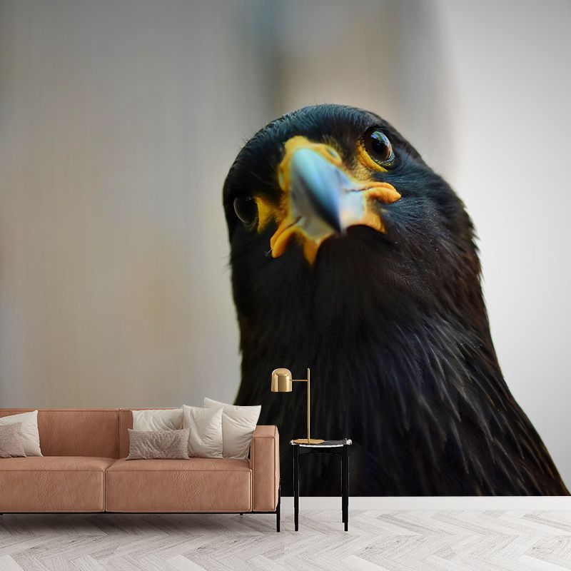 Customized Moisture Resistant Buzzard Mural Wallpaper Decal Environment Friendly Wall Decor
