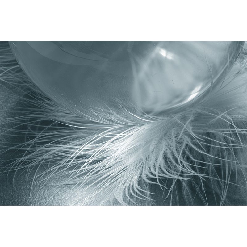 Decorative Photography Mural Wallpaper Feather Indoor Wall Mural