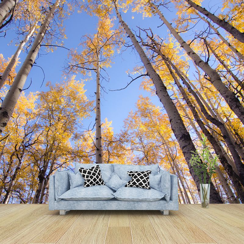 Forest Scenery Wall Mural for Living Room Bedroom Decoration, Made to Measure