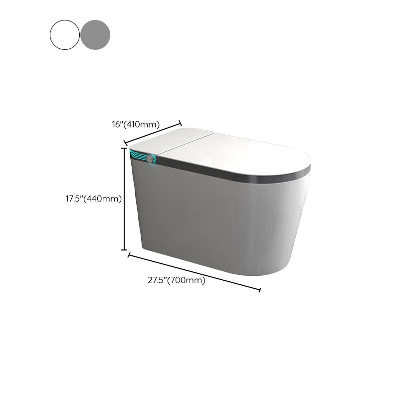 Contemporary Siphon Jet Toilet Bowl Polished Finish All-In-One Toilet