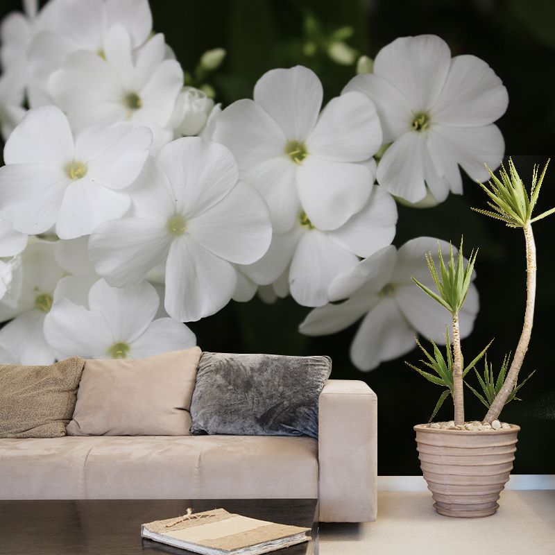 Customized Phlox Flower Wall Mural Horizontal Photography for Sleeping Room