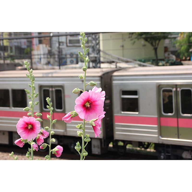 Modern Transportation Wall Covering Stain Resistant Living Room Wall Decor