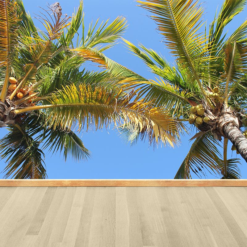 Beautiful View of Palm Tree Wall Mural for Living Room Wall Decor, Custom Made