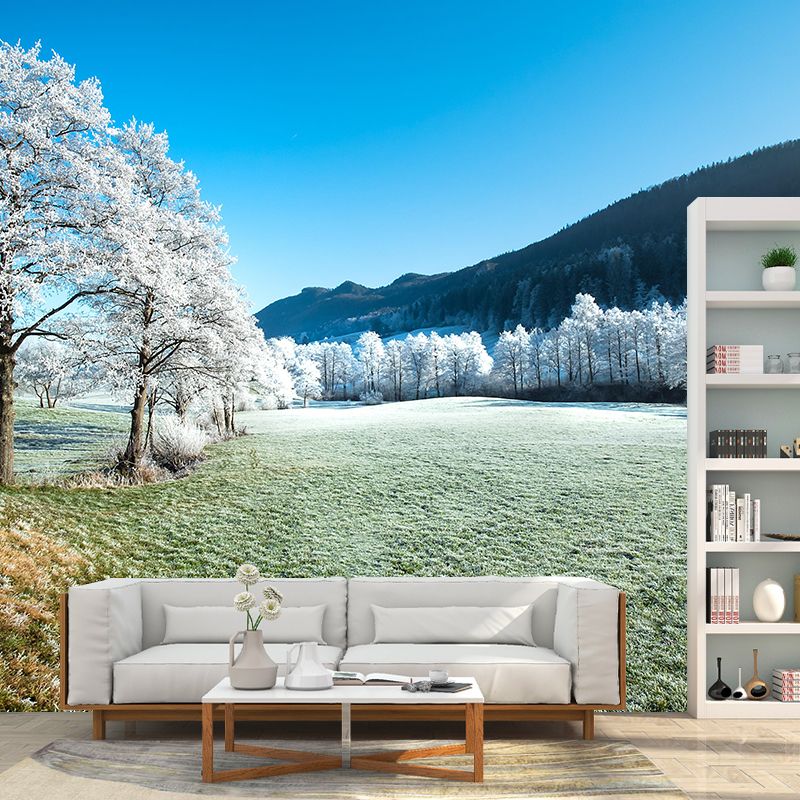 Winter Forest Scenery Wall Mural Contemporary Home Decor for Sitting Room