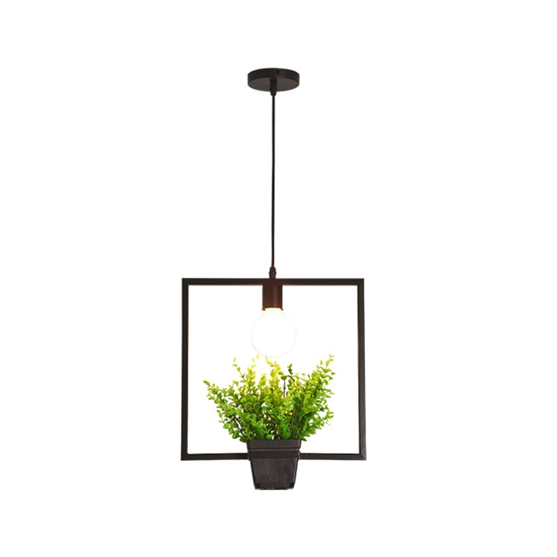 Single Plant Pendant Lighting Fixture Rustic Triangle/Square/Oval Frame Iron Hanging Lamp in Black