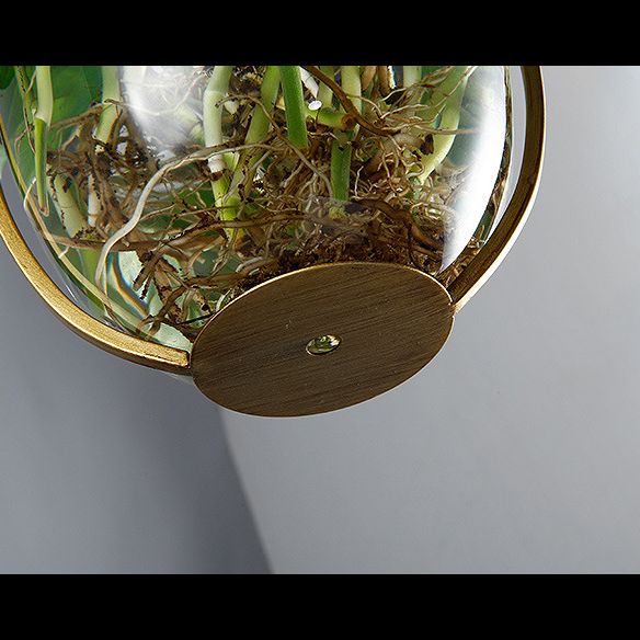 Luz de techo colgante Luz de techo de la sala de estar de loft con sombra de metal ovalado en oro (entrega sin plantas)