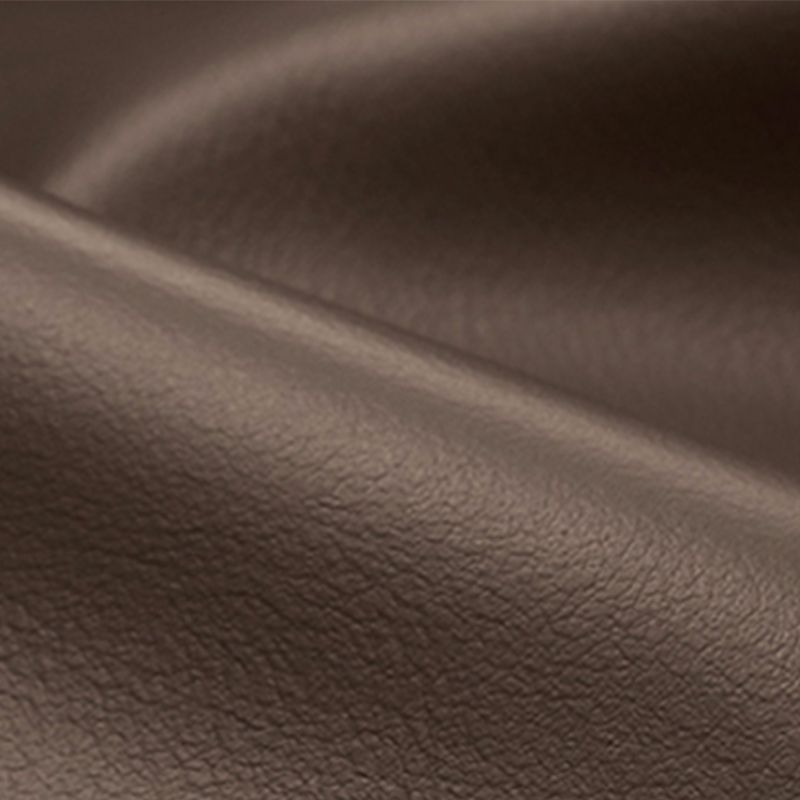 Contemporary Brown Cushions Standard Pillow Top Arm Stain Resistant Sofa