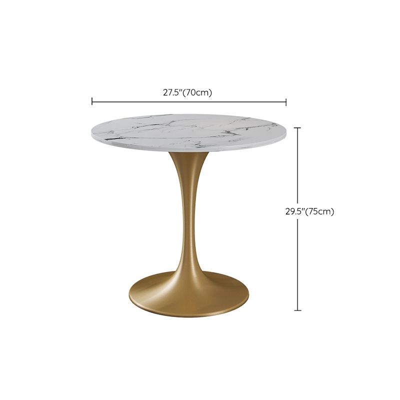 Traditional Luxury Dining Table for Home Round Table with Metal Tulip Base